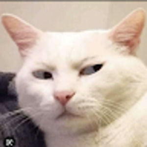 Meet your Posher, Daisy